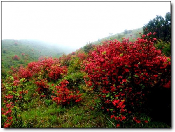 寧德白溪草場(chǎng)_古田白溪草場(chǎng)(福建寧德)_白溪草場(chǎng)