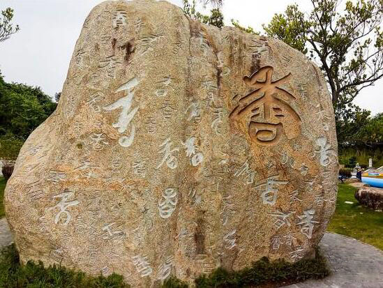 千香石2_美翻了！翔安這香山50畝花海綻放，小伙伴們約起來！