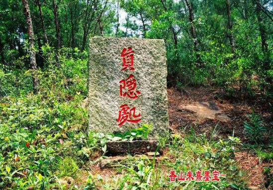真隱處_美翻了！翔安這香山50畝花海綻放，小伙伴們約起來！