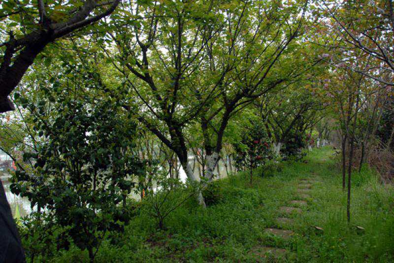 磊鑫緣休閑農(nóng)莊 (2)_磊鑫緣休閑農(nóng)莊