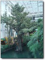 聯(lián)邦生態(tài)園 (1)_聯(lián)邦生態(tài)園