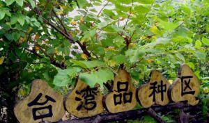美格農(nóng)藝農(nóng)家樂 (1)_美格農(nóng)藝農(nóng)家樂