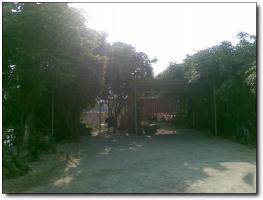 閩泰園農(nóng)莊 (5)_閩泰園農(nóng)莊