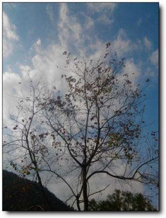 永春海峽藍天生態(tài)莊園 (6)_永春海峽藍天生態(tài)莊園