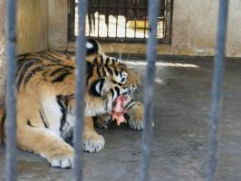薌城漳州動(dòng)物園 (2)_薌城漳州動(dòng)物園