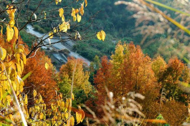 羅源禾山風景區(qū) (4)_羅源禾山風景區(qū)