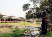 廈門哪里好玩之同安農家樂麗田園