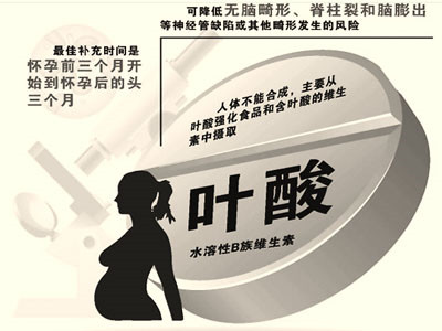 1、補充葉酸