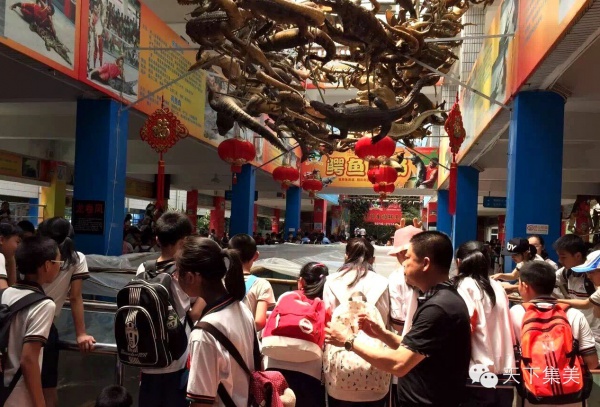 干貨來(lái)了：集美景點(diǎn)春節(jié)游玩指南大全
