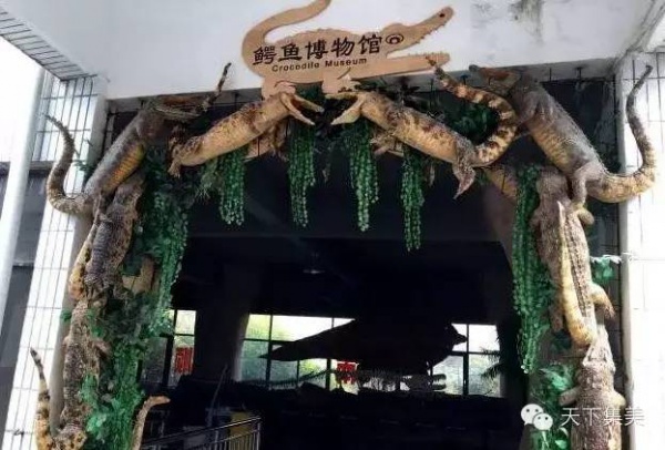 干貨來(lái)了：集美景點(diǎn)春節(jié)游玩指南大全