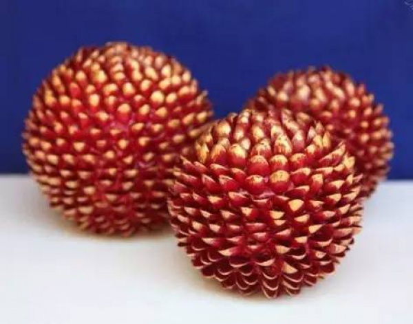 開(kāi)心果殼吃完千萬(wàn)別扔，它還有9大逆天用處！