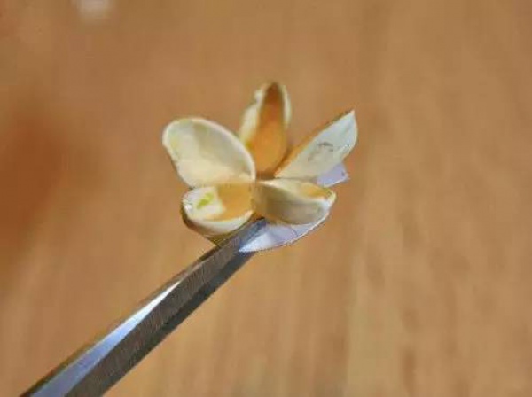 開(kāi)心果殼吃完千萬(wàn)別扔，它還有9大逆天用處！