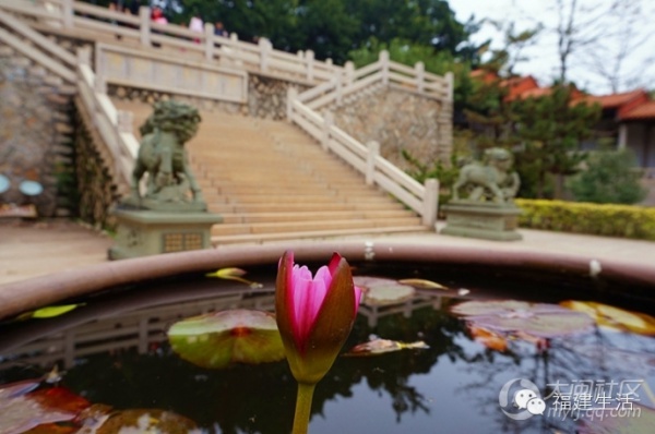 帶你走進金庸新版武俠小說里的南少林——泉州少林寺