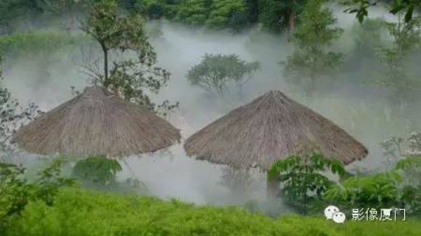 就在海滄，此地四季花海、云霧繚繞，宛如仙境！你去過嗎？