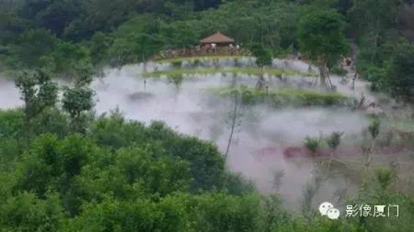 就在海滄，此地四季花海、云霧繚繞，宛如仙境！你去過嗎？