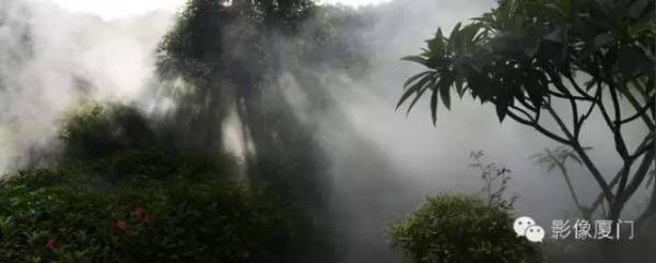 就在海滄，此地四季花海、云霧繚繞，宛如仙境！你去過嗎？