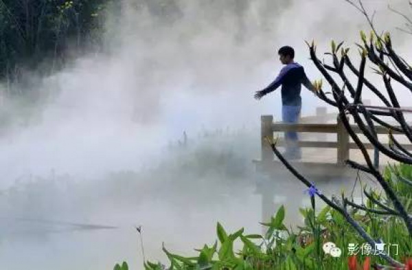 就在海滄，此地四季花海、云霧繚繞，宛如仙境！你去過嗎？