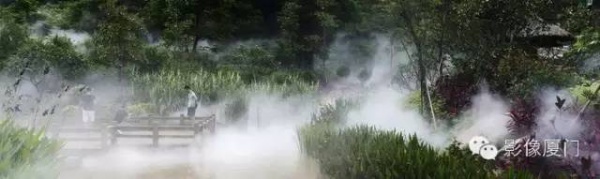 就在海滄，此地四季花海、云霧繚繞，宛如仙境！你去過嗎？