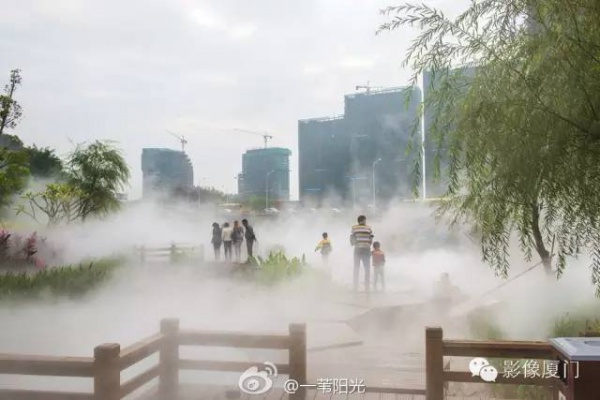 就在海滄，此地四季花海、云霧繚繞，宛如仙境！你去過嗎？