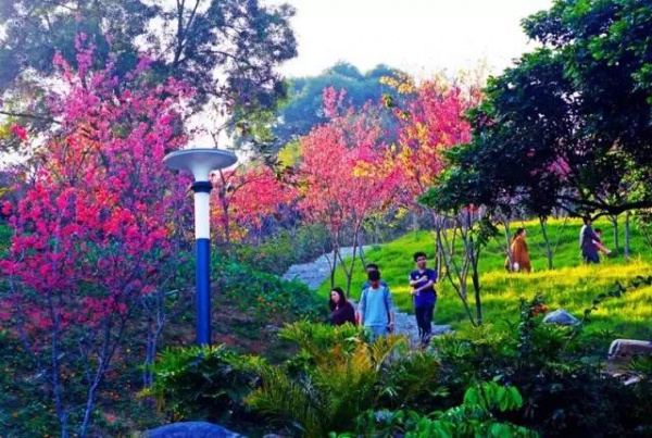 廈門新增這么多公園，快看看有你家附近的嗎！？