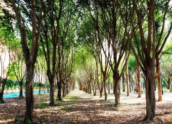 廈門新增這么多公園，快看看有你家附近的嗎??？