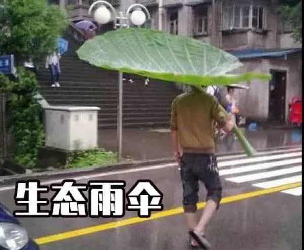 強(qiáng)熱帶風(fēng)暴級(jí)臺(tái)風(fēng)要來(lái)了！即將進(jìn)入福建48小時(shí)警戒區(qū)！廈門(mén)將迎來(lái)……