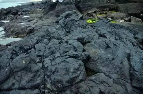 漳州濱海火山島地質(zhì)文化公園一日游/天天發(fā)團(tuán)