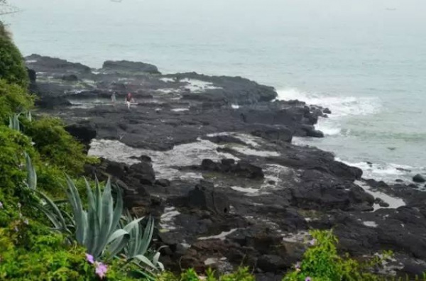 漳州濱海火山島地質(zhì)文化公園一日游/天天發(fā)團(tuán)