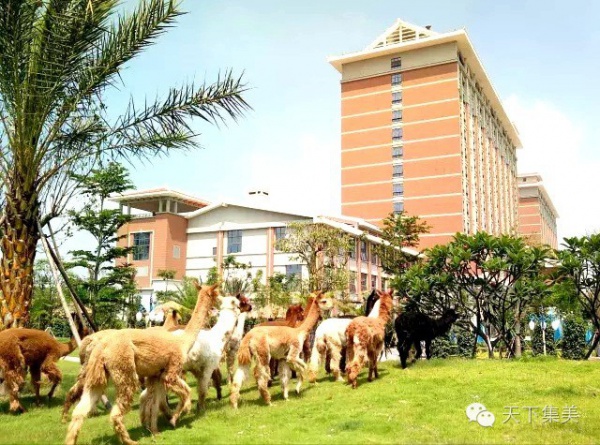 送福利｜價值440元靈玲馬戲城套票免費(fèi)搶，還能帶孩子看呆萌羊駝！