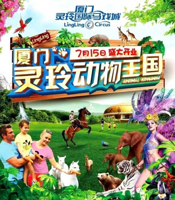 送福利｜價值440元靈玲馬戲城套票免費(fèi)搶，還能帶孩子看呆萌羊駝！