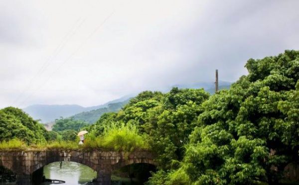 集美周邊游丨這個(gè)“明朝荔枝”火了600年，落在這個(gè)古鎮(zhèn)！