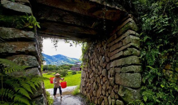 集美周邊游丨這個(gè)“明朝荔枝”火了600年，落在這個(gè)古鎮(zhèn)！