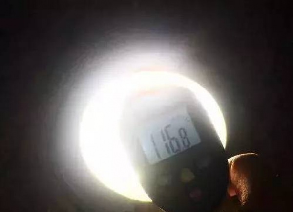 這東西196℃！廈門滿大街都是！千萬(wàn)別摸它！
