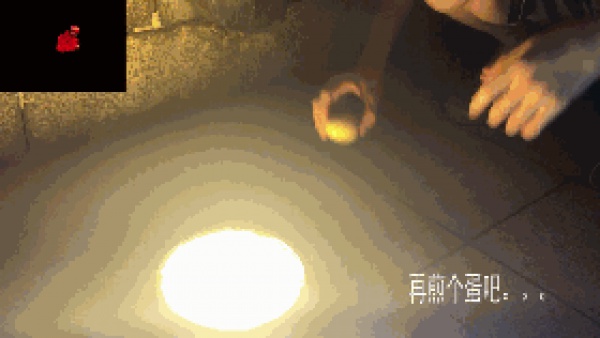 這東西196℃！廈門滿大街都是！千萬(wàn)別摸它！