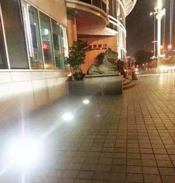 這東西196℃！廈門滿大街都是！千萬(wàn)別摸它！