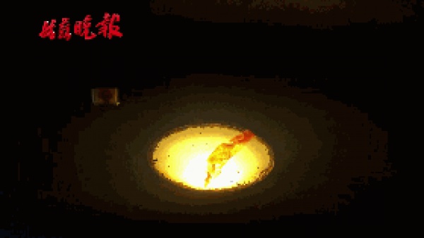 這東西196℃！廈門滿大街都是！千萬(wàn)別摸它！