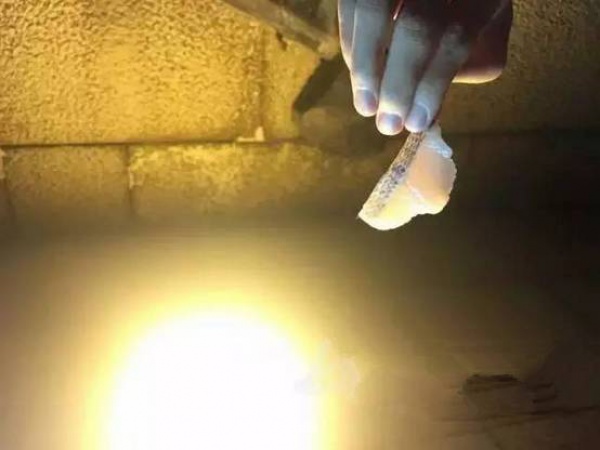 這東西196℃！廈門滿大街都是！千萬(wàn)別摸它！