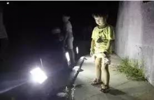 這東西196℃！廈門滿大街都是！千萬(wàn)別摸它！