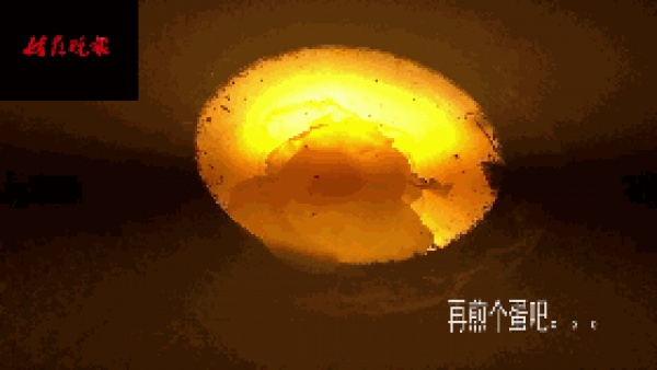 這東西196℃！廈門滿大街都是！千萬(wàn)別摸它！