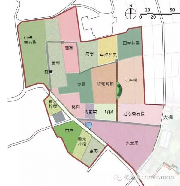 翔安內厝有個水果觀光園，你知道嗎？