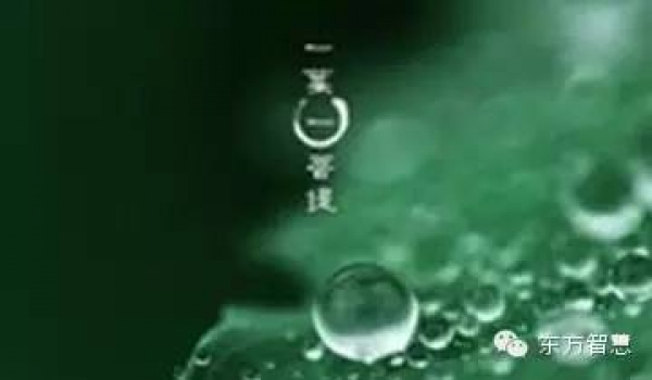 跑什么，前面也在下雨（經典）