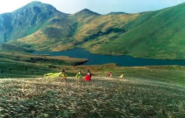 集美周邊游丨這些絕美露營地，我要挨個浪過去，你來嗎？