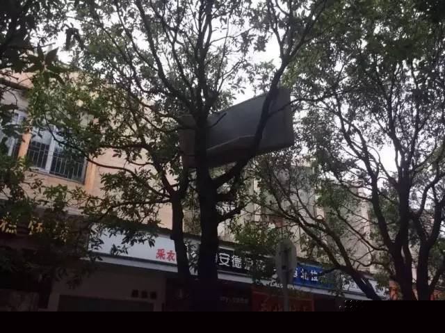 一次臺風，終于看清了廈門人的真面目！