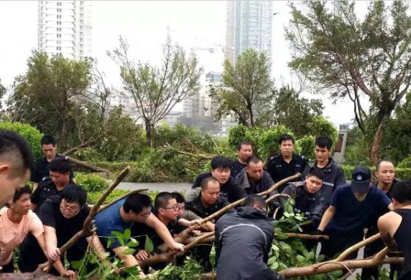 他們用這種方式捍衛集美，總有一幕令你動容！