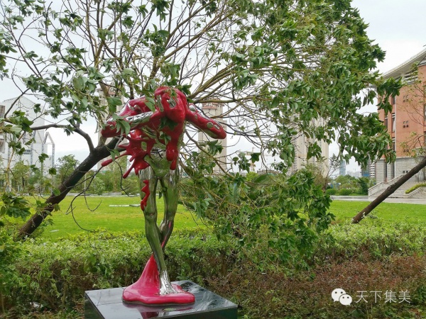 大量獨家航拍：超強臺風“莫蘭蒂”過境后，集美12小時震撼實景……