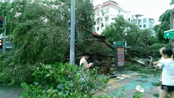 大量獨家航拍：超強臺風“莫蘭蒂”過境后，集美12小時震撼實景……