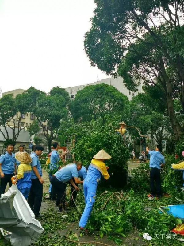 大量獨家航拍：超強臺風“莫蘭蒂”過境后，集美12小時震撼實景……