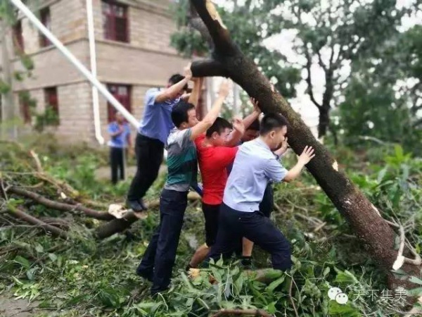 大量獨家航拍：超強臺風“莫蘭蒂”過境后，集美12小時震撼實景……