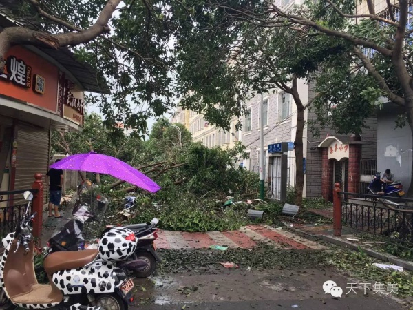 大量獨家航拍：超強臺風“莫蘭蒂”過境后，集美12小時震撼實景……