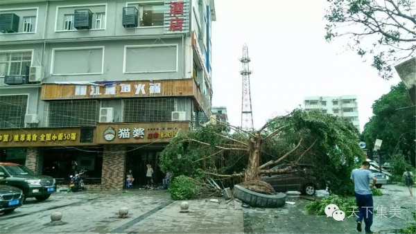 大量獨家航拍：超強臺風“莫蘭蒂”過境后，集美12小時震撼實景……